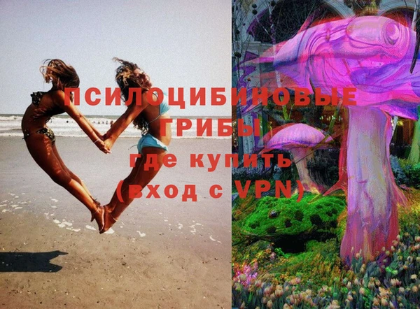 Альфа ПВП Гусь-Хрустальный