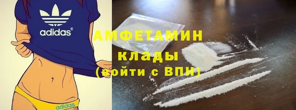 ПСИЛОЦИБИНОВЫЕ ГРИБЫ Гусев