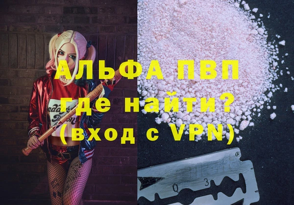 ПСИЛОЦИБИНОВЫЕ ГРИБЫ Гусев