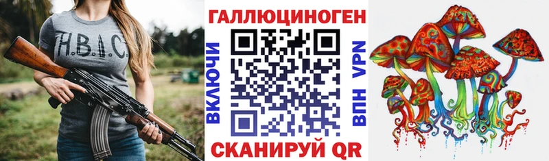Псилоцибиновые грибы Psilocybe  Купить где  Давлеканово 